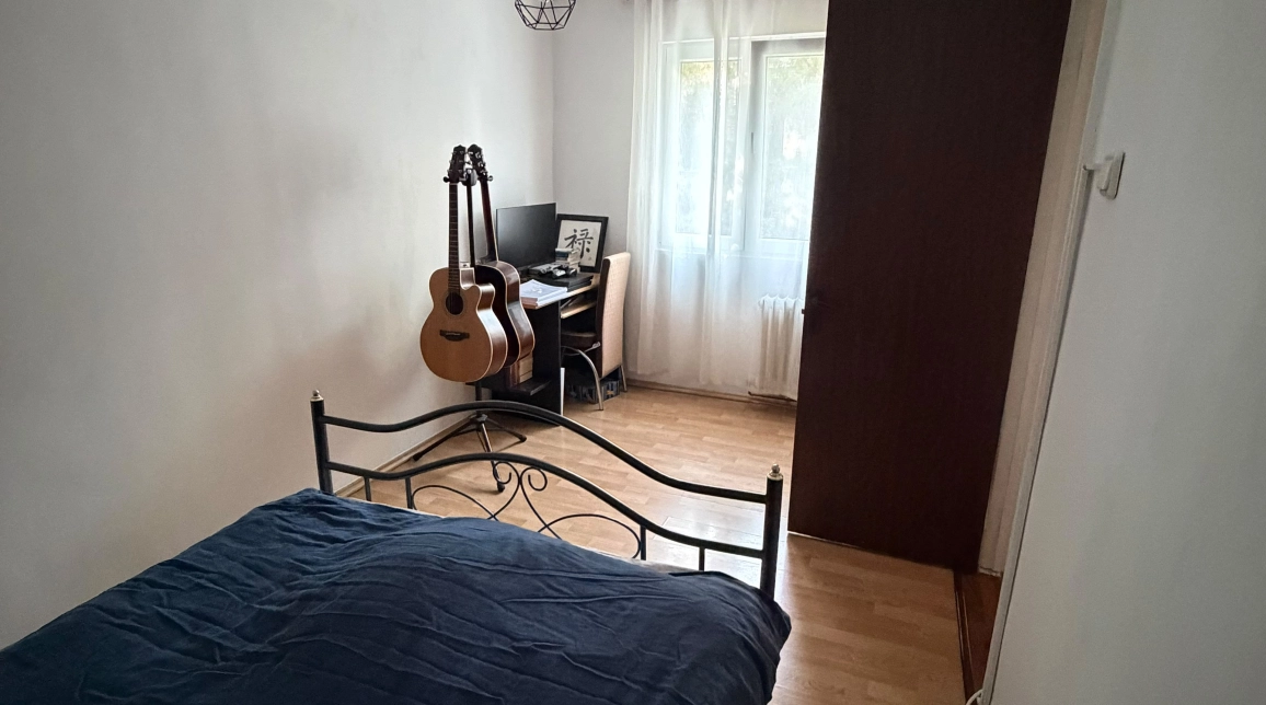 Oferta 2 camere, nedecomandat, 42 mp, de vanzare apartament in zona Alexandru cel Bun,  Piata Voievozilor imagine 4