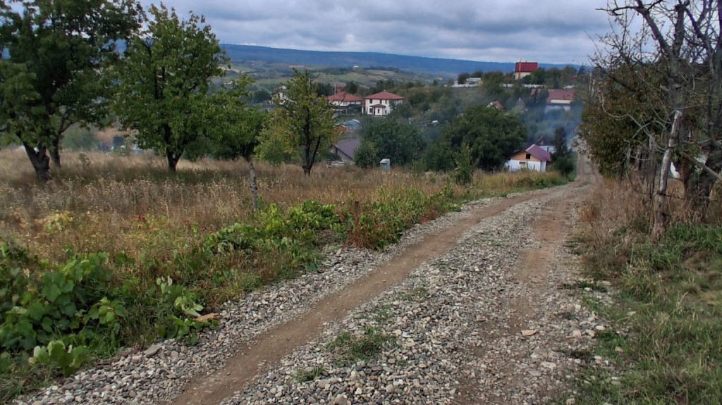 Teren de vanzare Tomesti ID:160126
