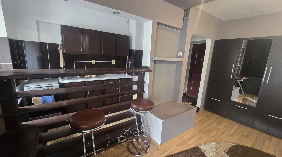 Oferta De inchiriat apartament, 1 camera, open-space, 40 mp, Nicolina,  Biserica Catolica imagine 4