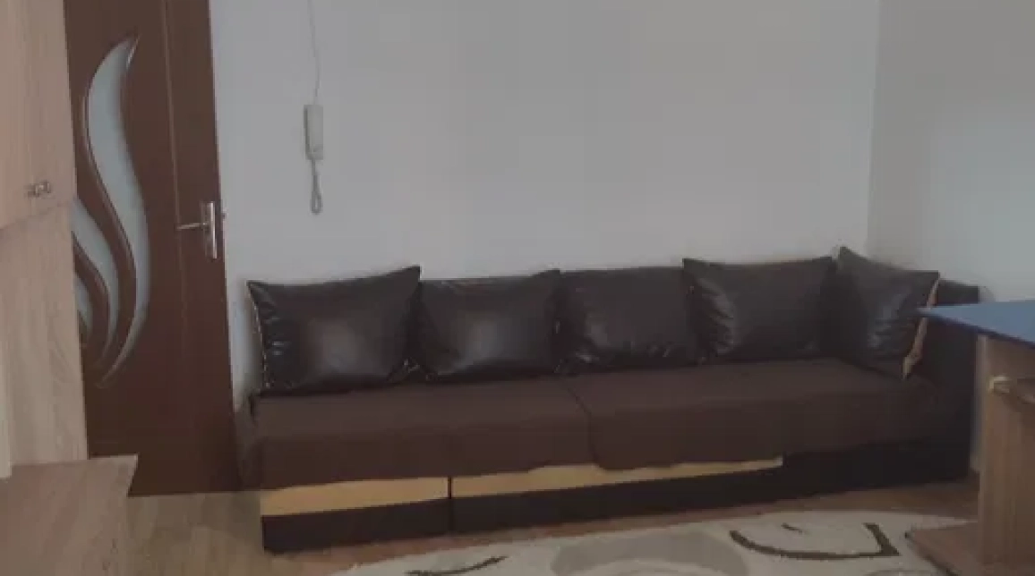 Oferta Apartament de inchiriat, 1 camera, decomandat, 35 mp, Nicolina,  Lidl imagine 3