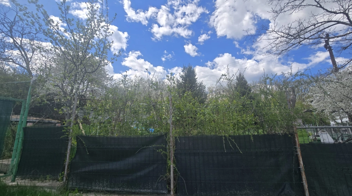 Oferta Teren de vanzare Copou inainte de depozitul farmaceutic 40 mp  imagine 5