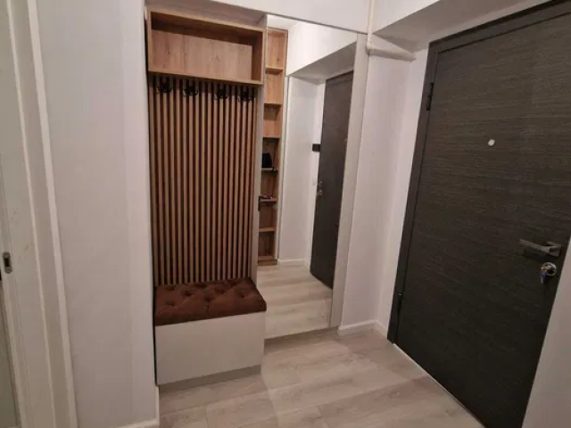 Apartament de inchiriat, 1 camera,  decomandat,  48 mp, Dacia,  (Lidl Dacia) 162565