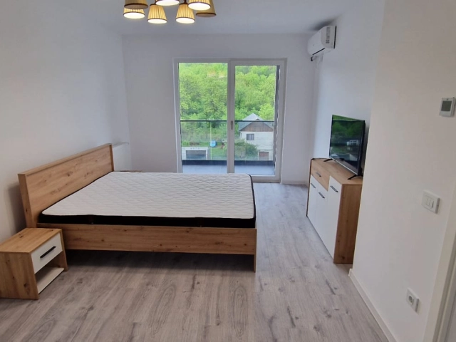 Apartament 1 camere - Frumoasa
