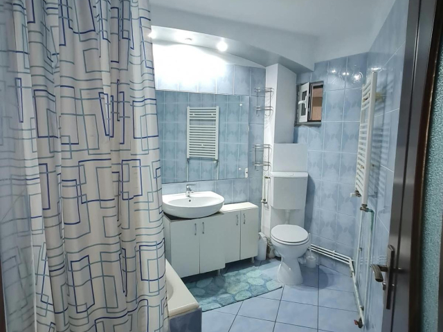 2 camere,  decomandat,  52 mp, de inchiriat apartament in zona Podul de Fier,  (Metropolitan) 163378