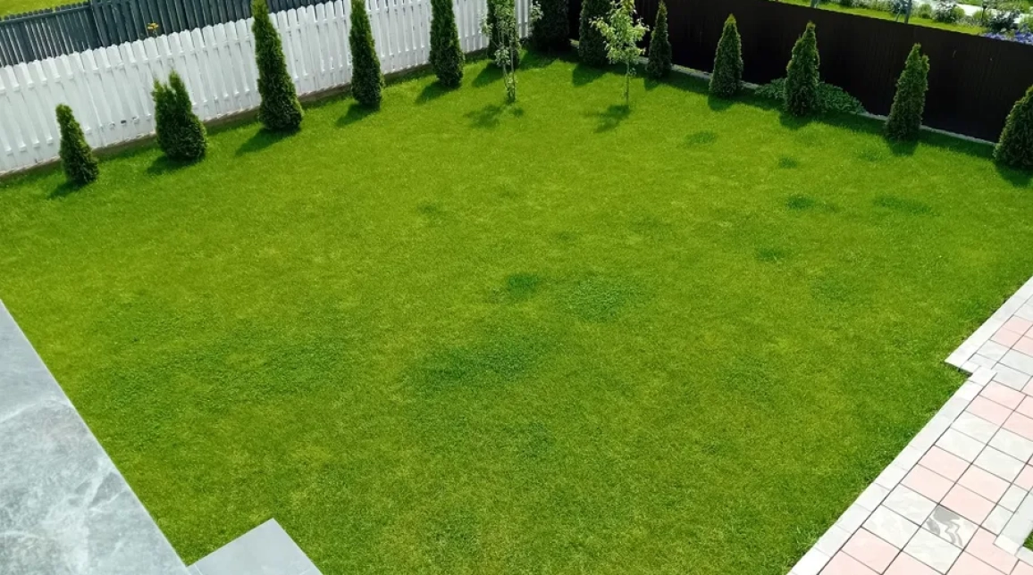 Oferta Casa, 4 camere , 170 mp, Dumbrava Rosie, de vanzare,   imagine 3