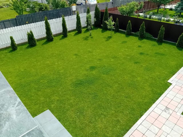 Casa, 4 camere, 170mp, Dumbrava Rosie, de vanzare,   161676