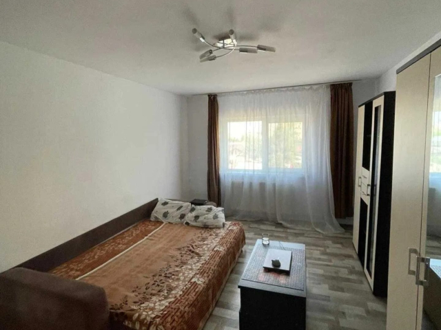 Apartament de inchiriat, 1 camera,  decomandat,  34 mp, Nicolina,  (Esplanada) 162380