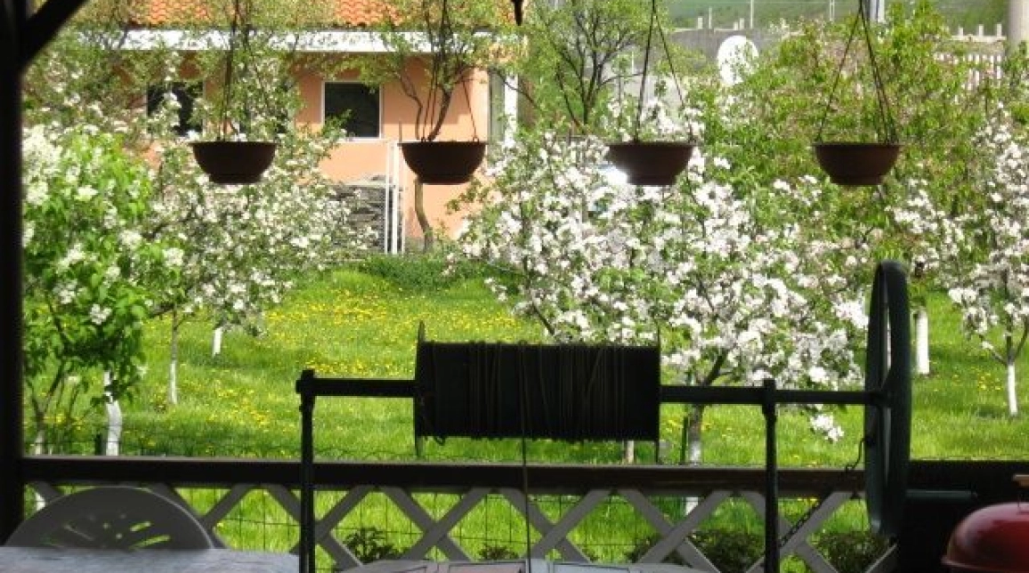 Oferta Casa, 6 camere , 500 mp, Ocol, de vanzare,   imagine 7