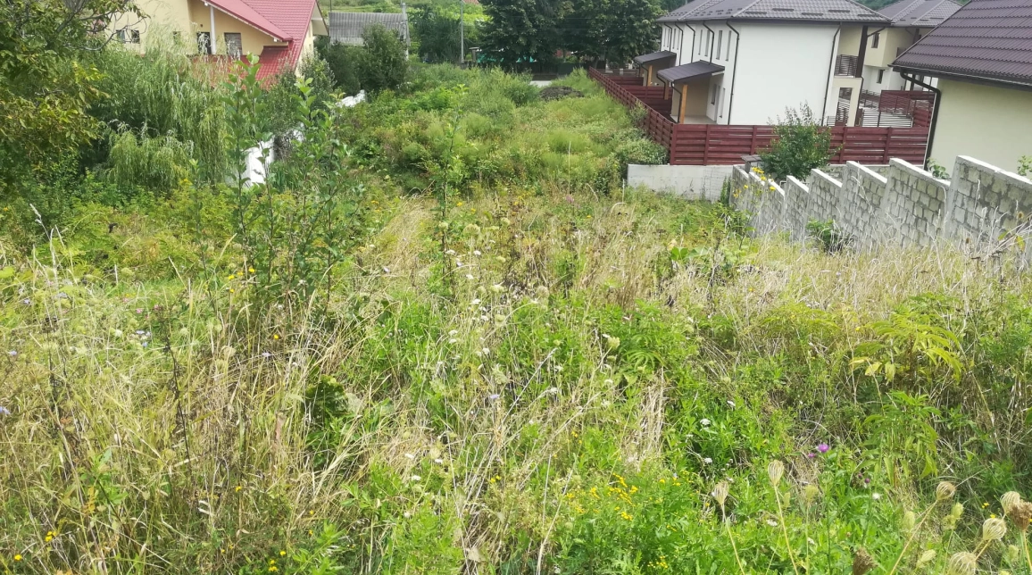 Oferta Teren de vanzare Barnova la intrare in Barnova 880 mp  imagine 2