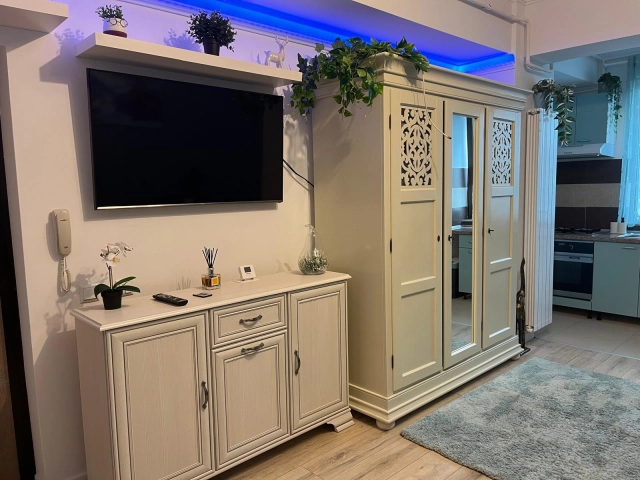 Apartament 1 camere - Centru