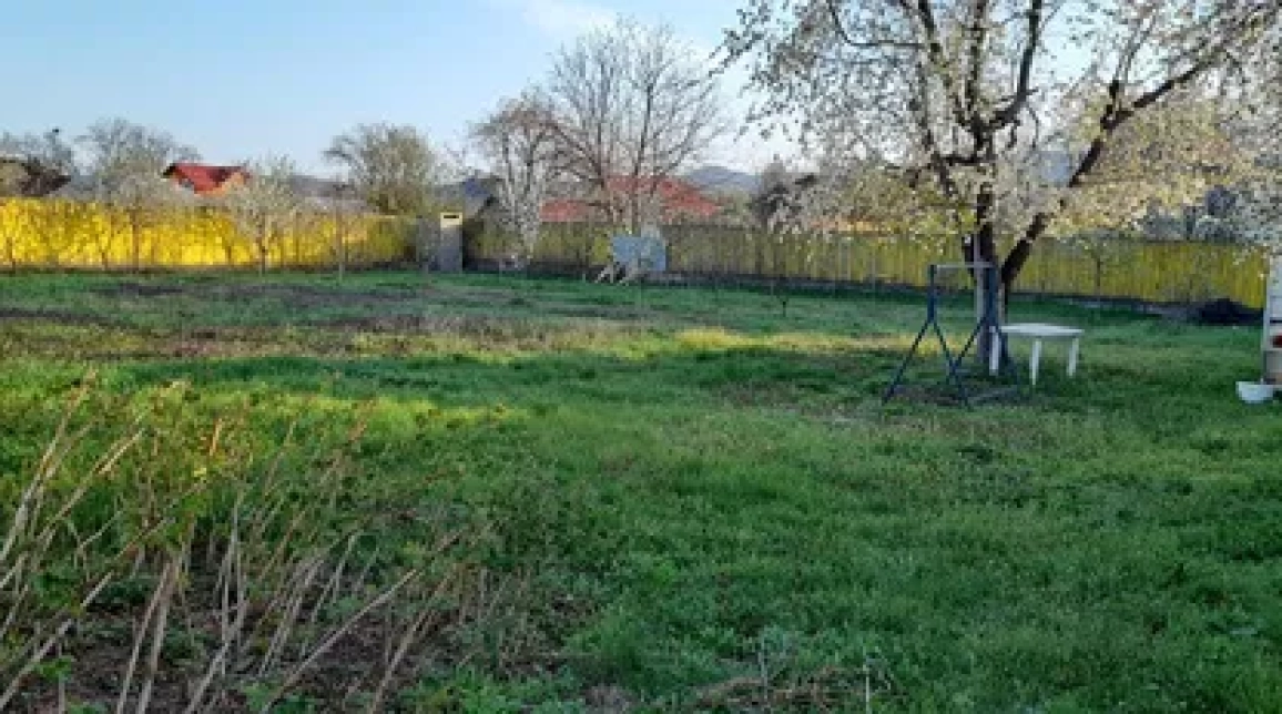 Oferta Teren de vanzare Dumbrava Rosie  1004 mp  imagine 1