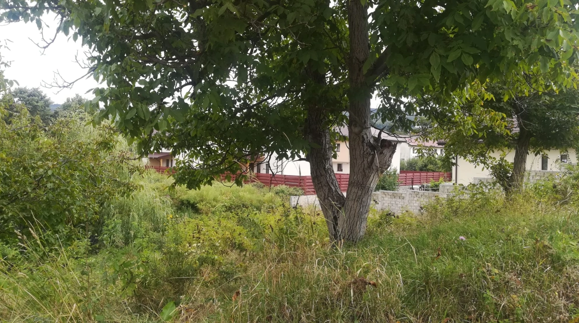 Oferta Teren de vanzare Barnova la intrare in Barnova 880 mp  imagine 1