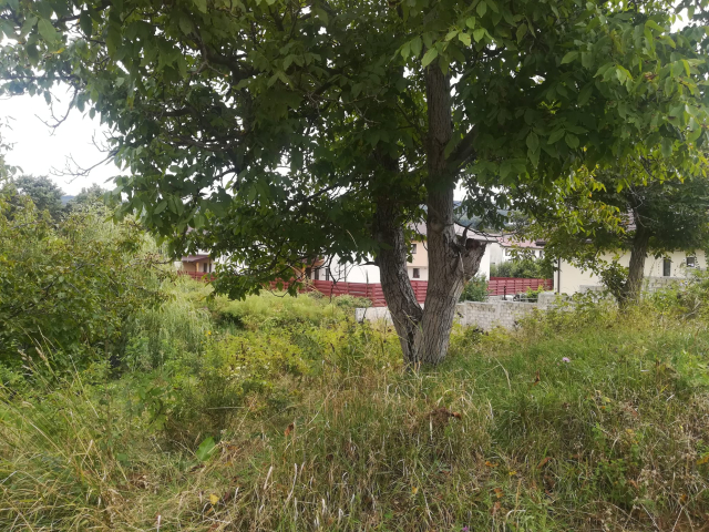 Teren  Barnova la intrare in Barnova 880mp  162949
