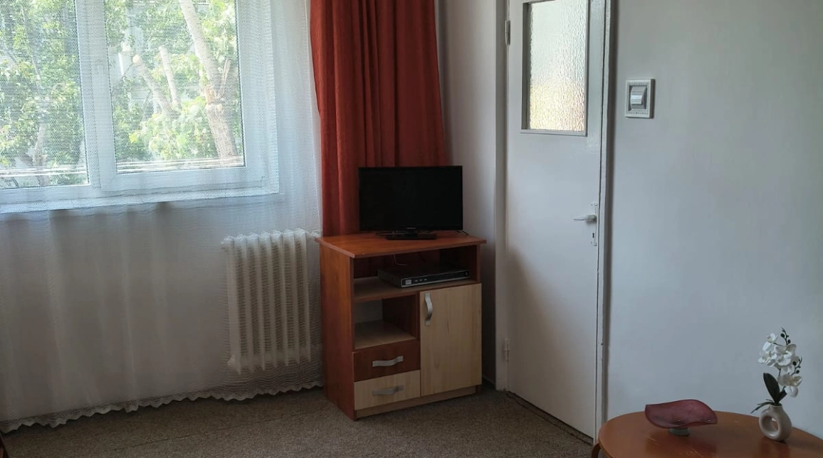 Oferta 22 mp, de vanzare garsoniera in zona Alexandru cel Bun,  Liceul Miron Costin imagine 5