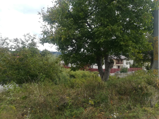 Teren  Barnova la intrare in Barnova 880mp  162949