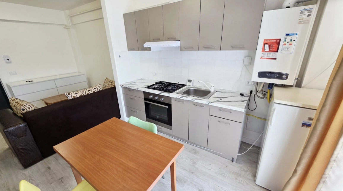 Oferta Apartament, 2 camere open-space, 42 mp, Bucium, de inchiriat,  Visan imagine 8
