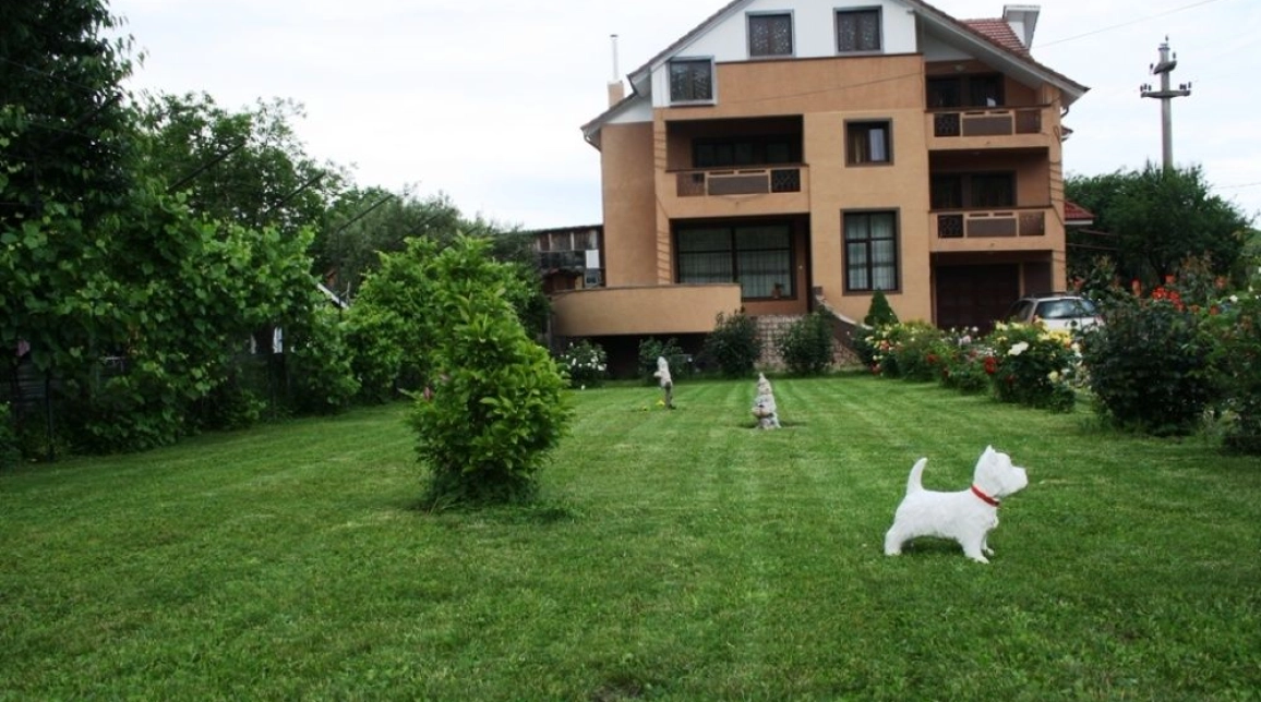 Oferta Casa, 6 camere , 500 mp, Ocol, de vanzare,   imagine 1