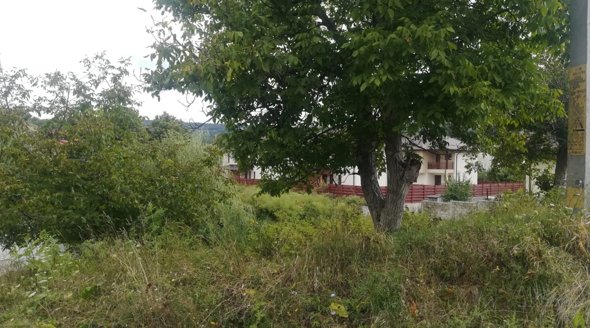 Oferta Teren de vanzare Barnova la intrare in Barnova 880 mp  imagine 4