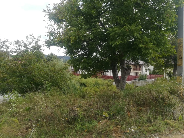 Apartament 0 camere - Barnova