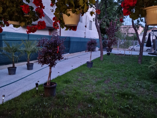 Apartament 3 camere - Frumoasa