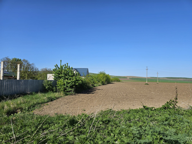 Teren  Dumbrava Rosie Izvoare 4500mp  158057