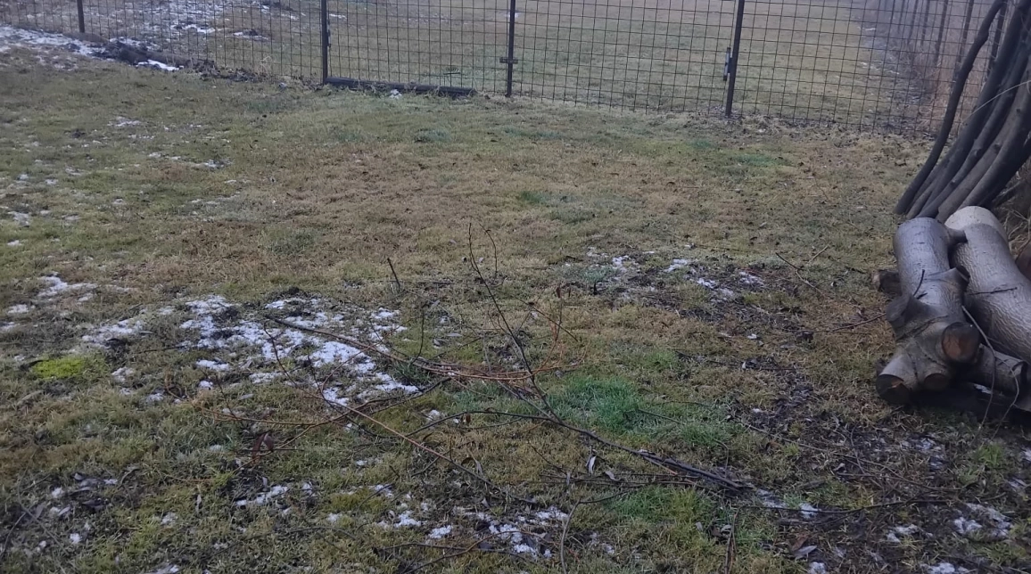 Oferta Teren de vanzare Ciritei  1300 mp  imagine 1