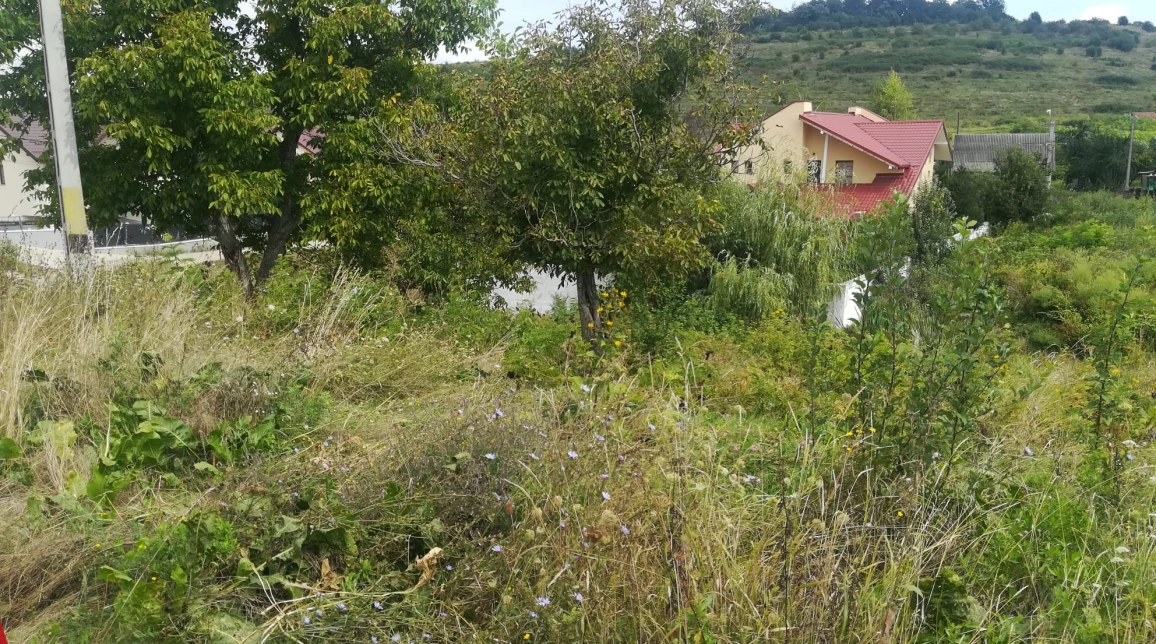 Oferta Teren de vanzare Barnova la intrare in Barnova 880 mp  imagine 5