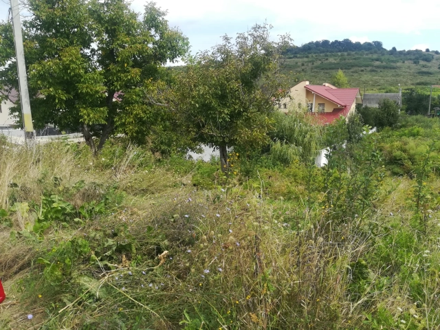 Apartament 0 camere - Barnova