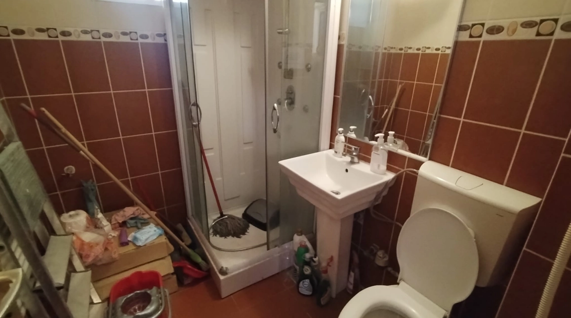 Oferta Spatiu comercial de inchiriat Podu Ros Univ. Asachi 50mp  imagine 7