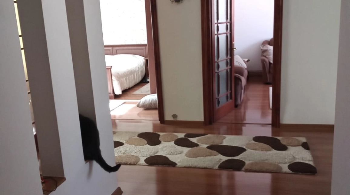 Oferta Maratei apartament 90 mp, 4 camere, decomandat, de vanzare,  Biserica Adventista / Scoala Daniela Cuciuc imagine 5
