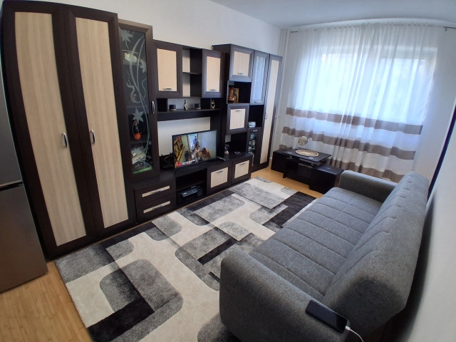 Apartament 1 camere - Pacurari