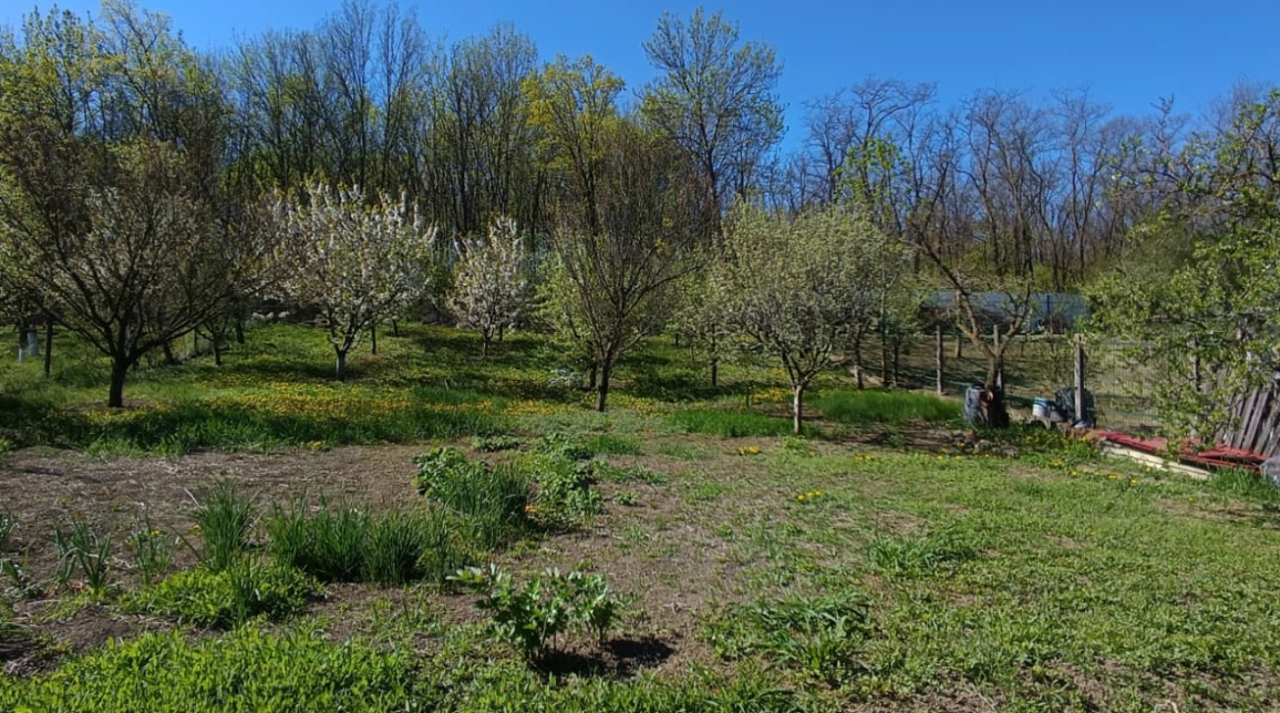 Oferta Tomesti casa 90 mp, 3 camere, de vanzare,  dupa Peny Tomesti imagine 13