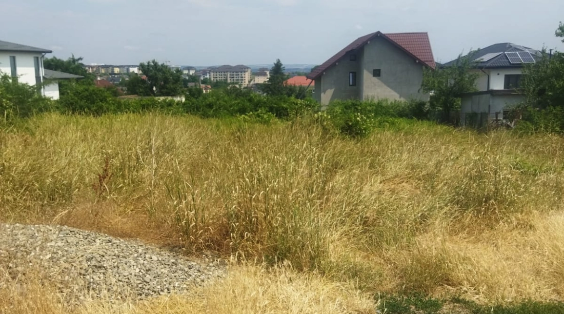 Oferta Teren de vanzare Valea Adanca dupa str Prunului 688 mp  imagine 2