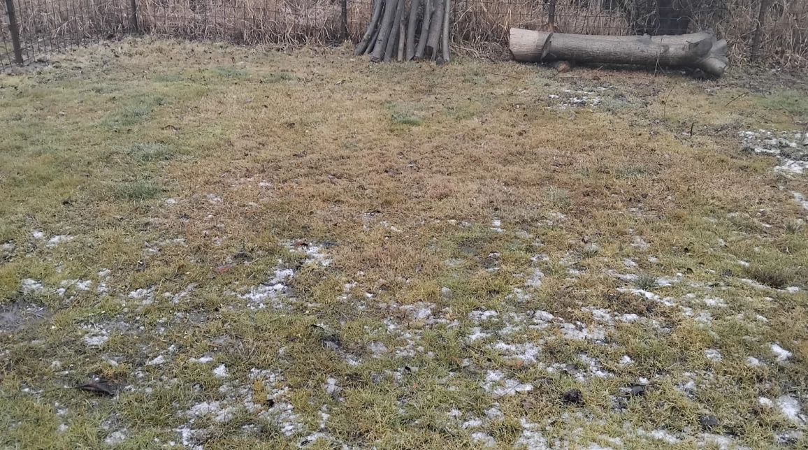 Oferta Teren de vanzare Ciritei  1300 mp  imagine 2