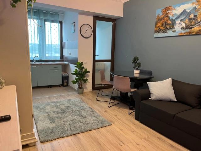 Apartament 1 camere - Centru