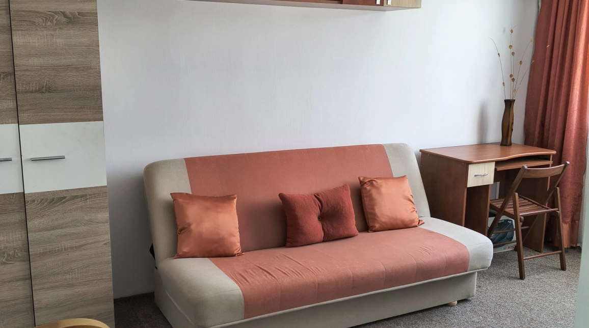 Oferta 22 mp, de vanzare garsoniera in zona Alexandru cel Bun,  Liceul Miron Costin imagine 10