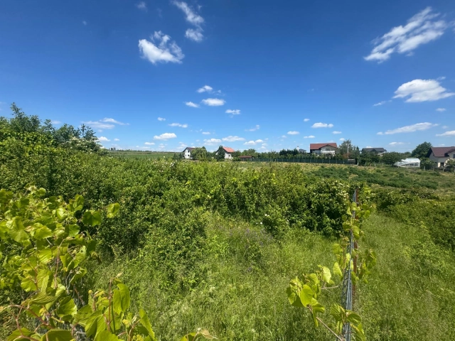 Apartament 0 camere - Copou