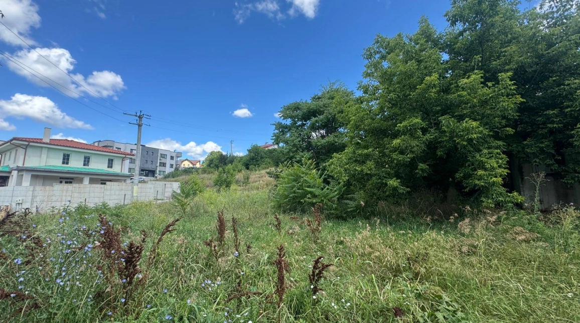 Oferta Teren de vanzare Bucium dupa Plopii fara sot 772 mp  imagine 1