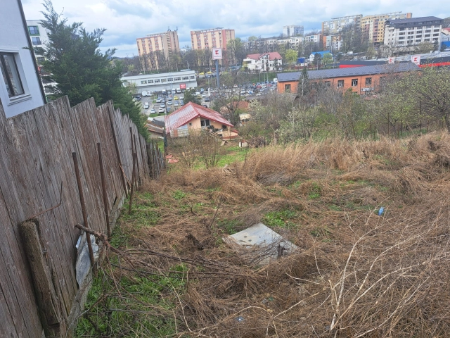 Apartament 0 camere - Tatarasi