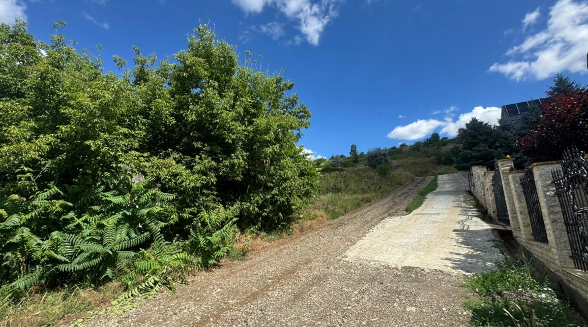 Oferta Teren de vanzare Bucium dupa Plopii fara sot 772 mp  imagine 3