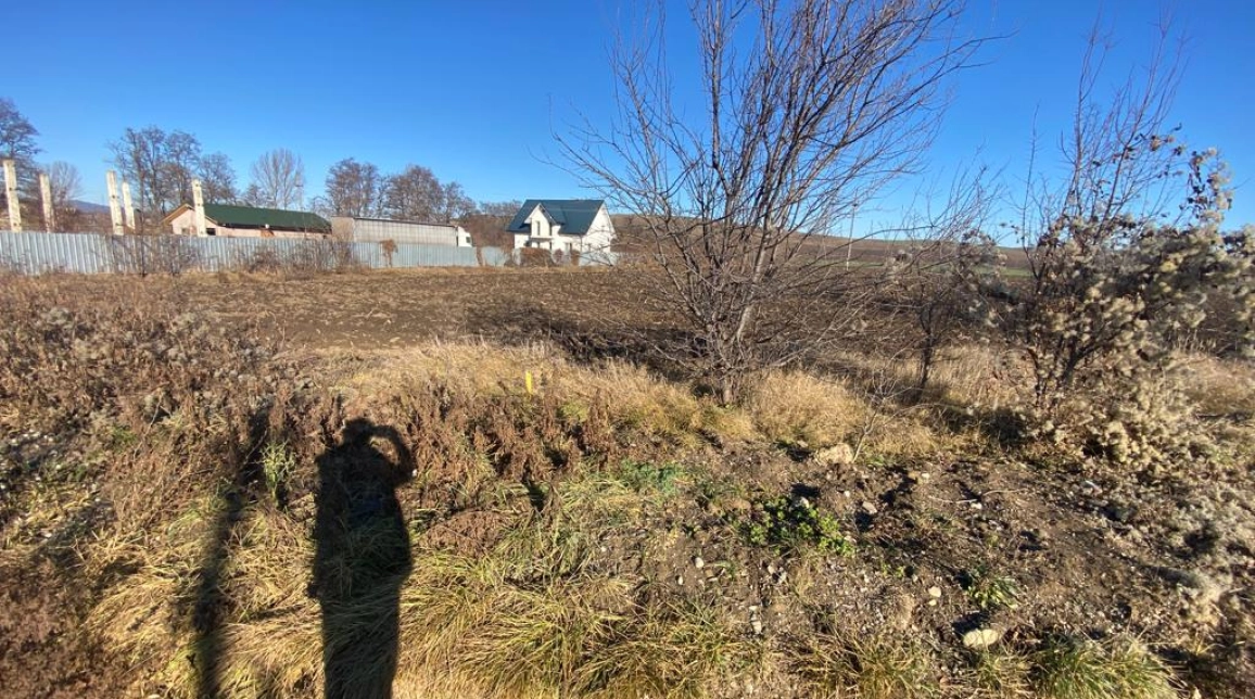 Oferta Teren de vanzare Dumbrava Rosie Izvoare 4500 mp  imagine 5