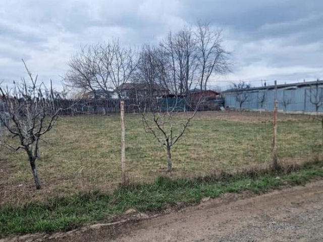 Apartament 0 camere - Valea Ursului