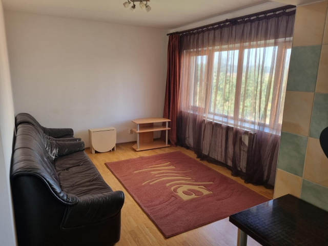 Pacurari apartament  50 mp, 2 camere,  open-space, de inchiriat,  (Dream Village) 163059