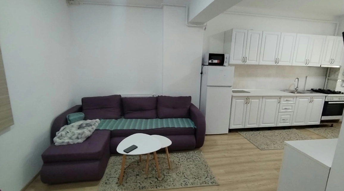 Oferta Apartament, 2 camere open-space, 50 mp, Gara, de inchiriat,  Arka Residence imagine 4