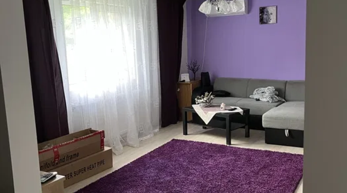 Oferta De vanzare casa, 4 camere, 119 mp, Alexandru cel bun (Jud. Neamt),  Viisoara imagine 4