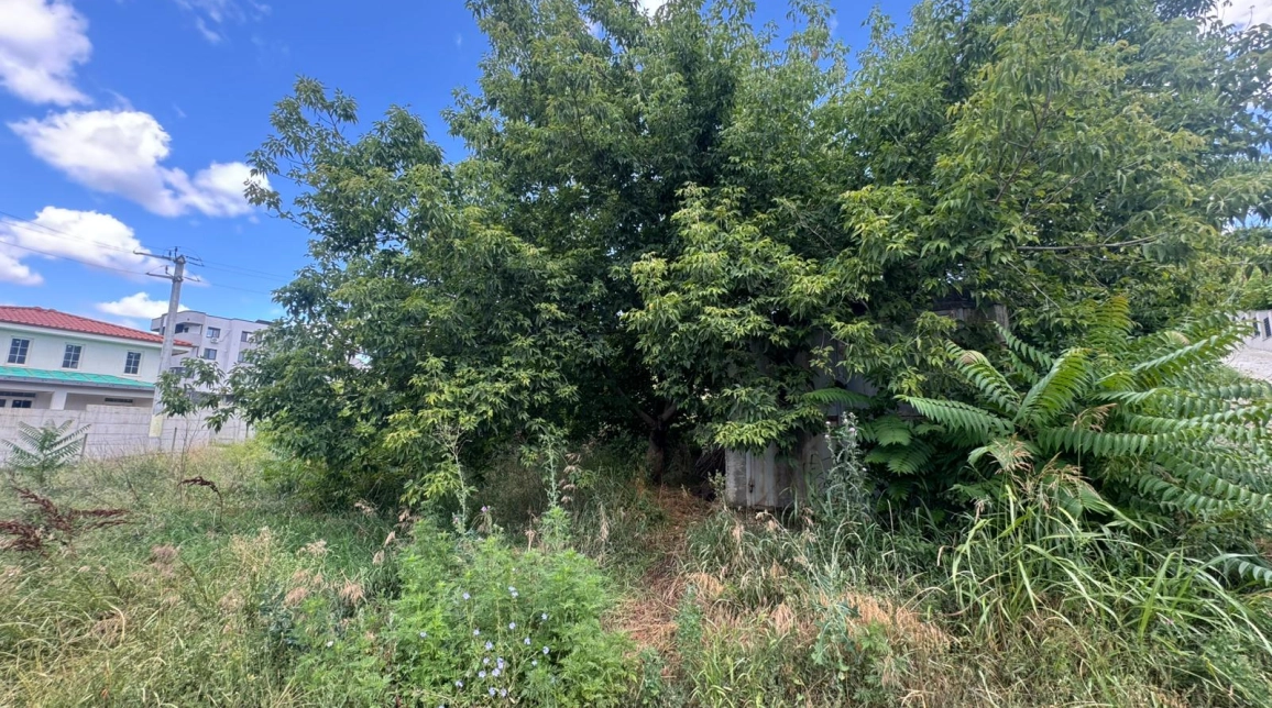 Oferta Teren de vanzare Bucium dupa Plopii fara sot 772 mp  imagine 4