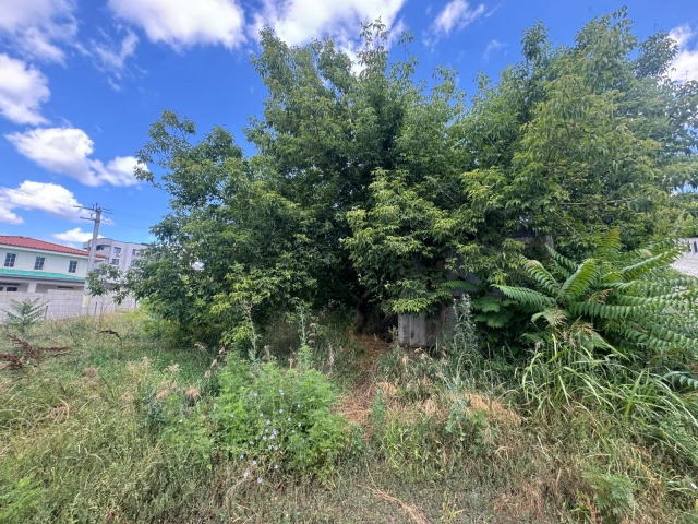 Apartament 0 camere - Bucium