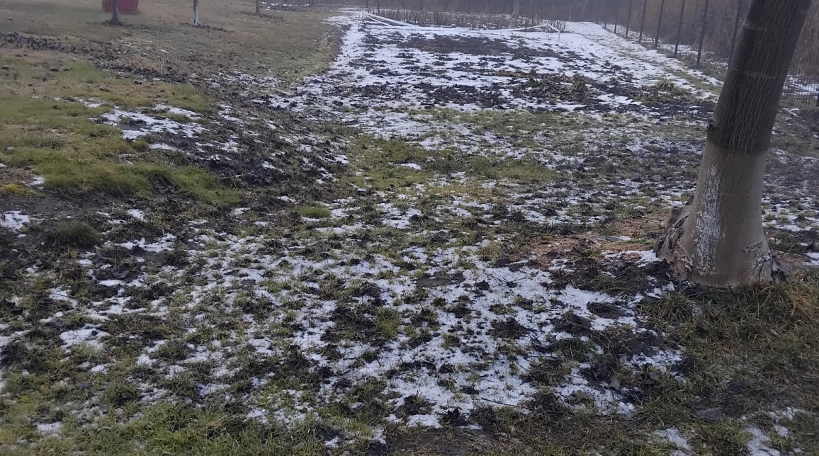 Oferta Teren de vanzare Ciritei  1300 mp  imagine 5