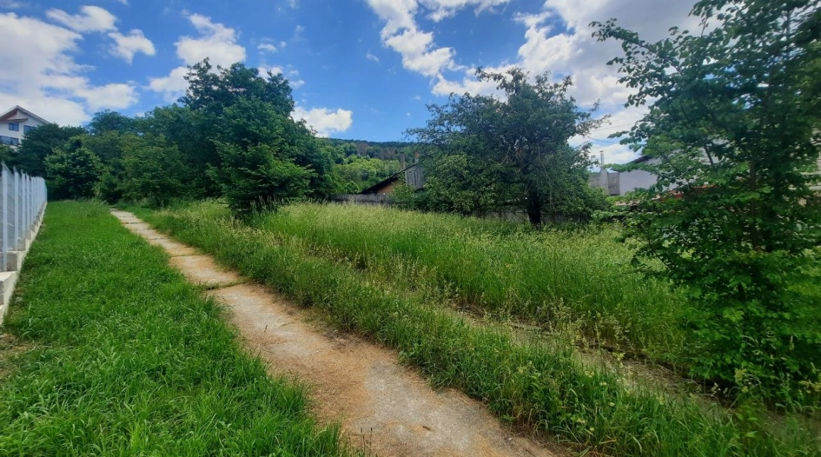 Oferta Teren de vanzare Valea Vie Str Dimitre Cantemir 1000 mp  imagine 1