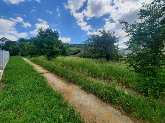Teren  Valea Vie Str Dimitre Cantemir 1000mp  147432